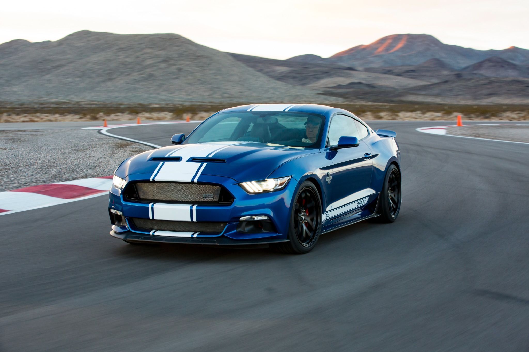 Swasnway Shelby Mustang Suoer Snake